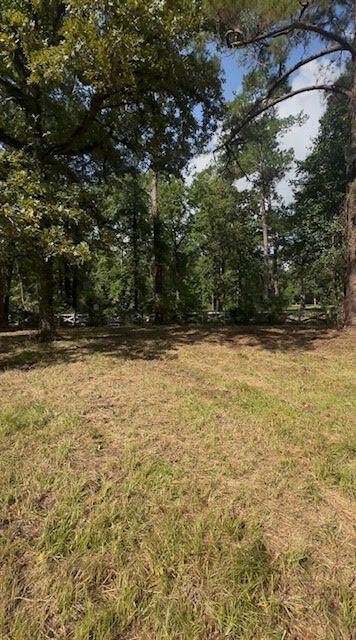 209 Claussen Street Photo 5