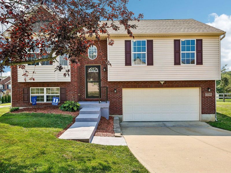 10377 Chambersburg Drive, Independence, KY 41051 Photo 1