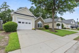 137 Springhaven Drive  photo 4