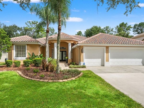 18115 REGENTS SQUARE DRIVE , TAMPA, FL 33647