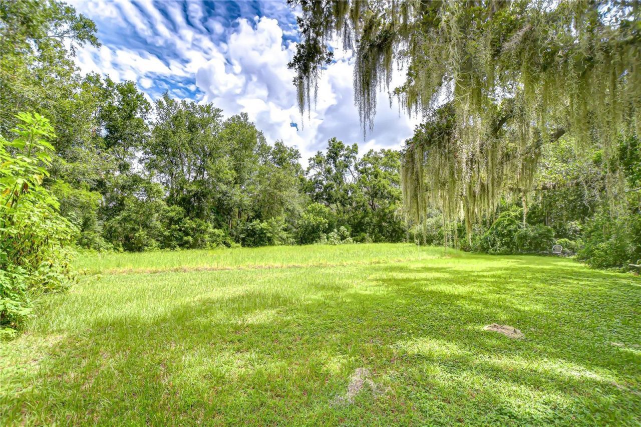 10904 Hackney Drive, Riverview, FL 33578 Photo