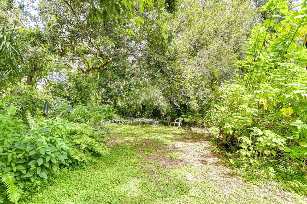 10904 Hackney Drive, Riverview, FL 33578 Photo