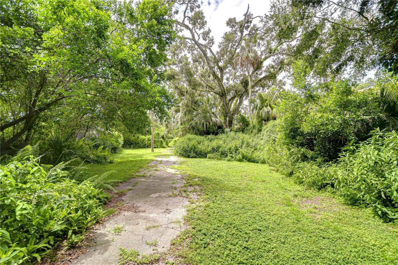 10904 Hackney Drive, Riverview, FL 33578 Photo