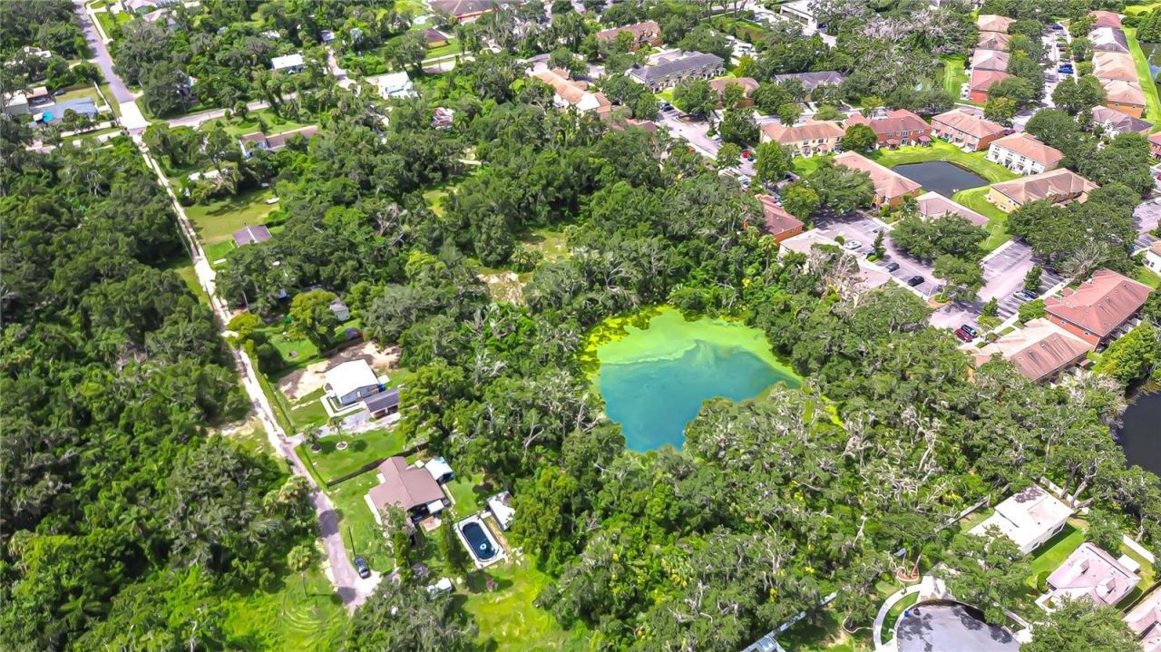 10904 Hackney Drive, Riverview, FL 33578 Photo