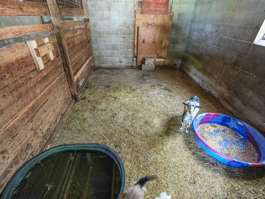 Property Image 47