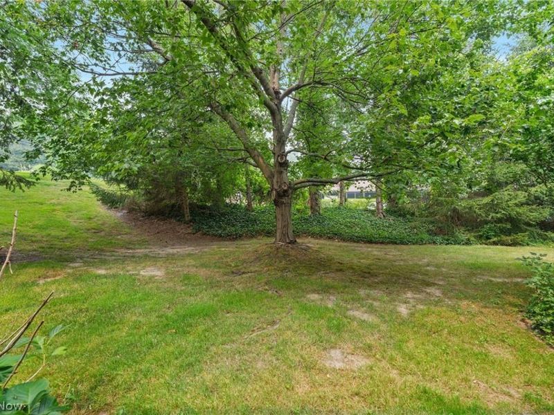 5741 Som Center Road, Unit 1, Solon, OH 44139 Photo 47