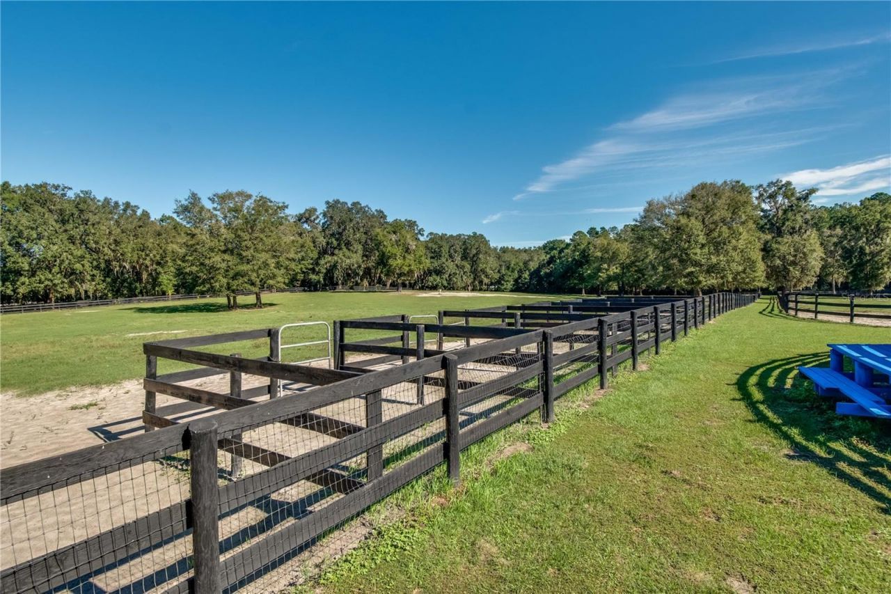 7787 NW 150th Avenue, Morriston, FL 32668 Photo