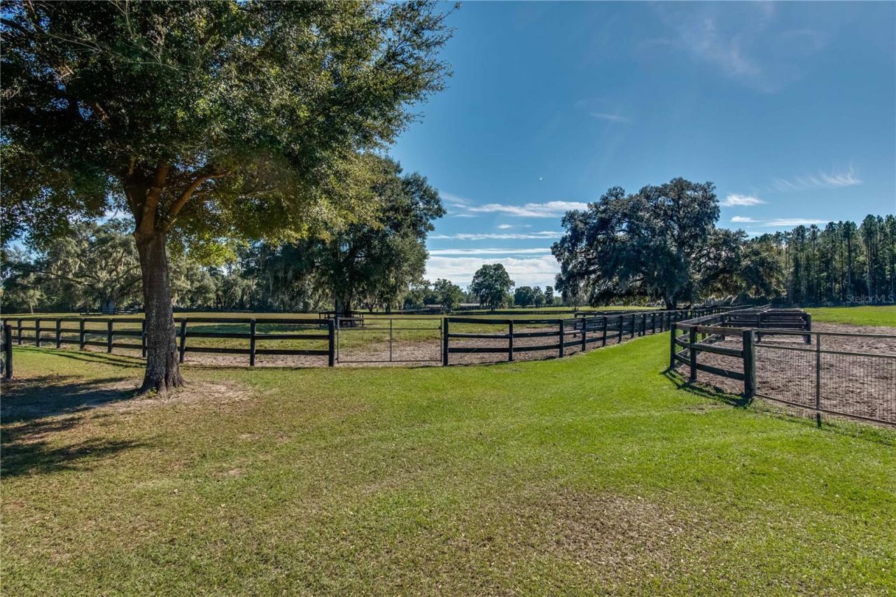 7787 NW 150th Avenue, Morriston, FL 32668 Photo