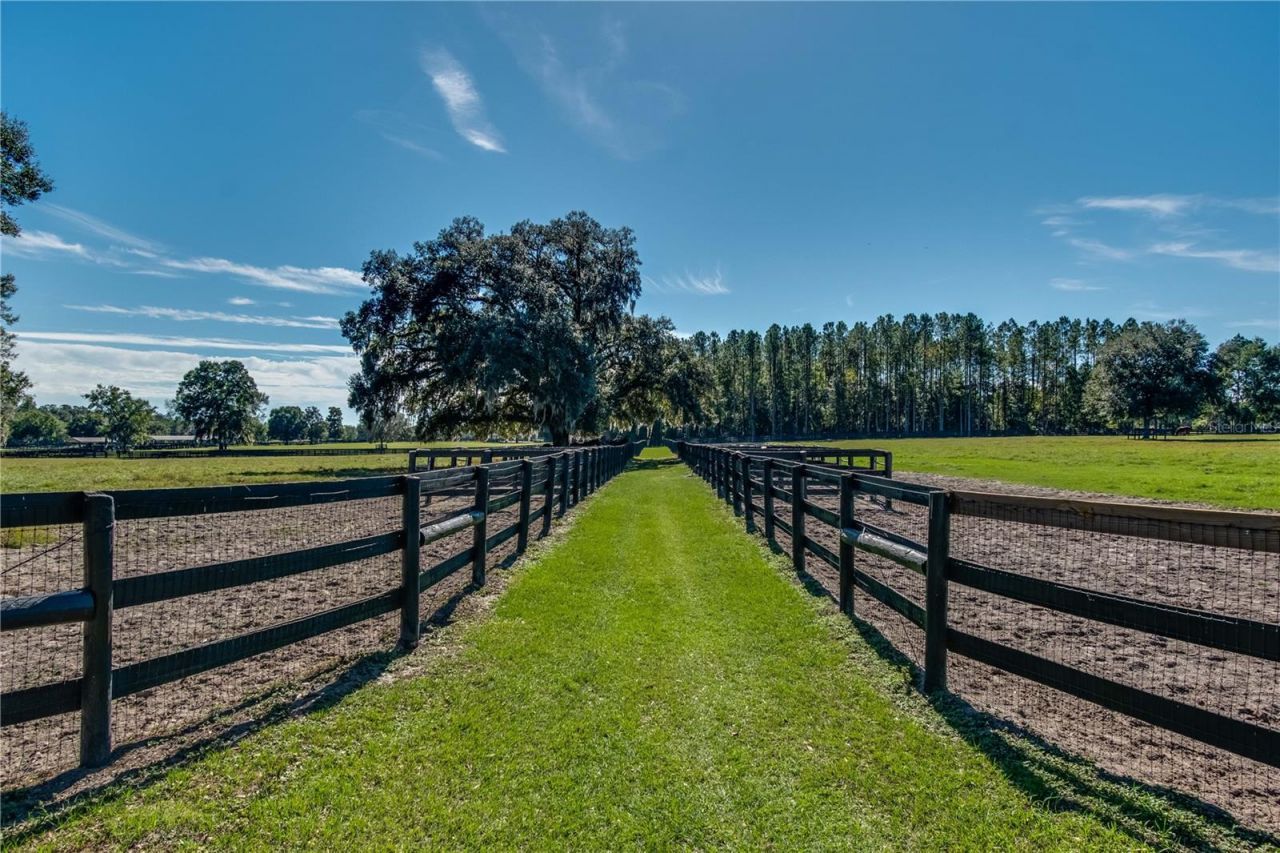 7787 NW 150th Avenue, Morriston, FL 32668 Photo