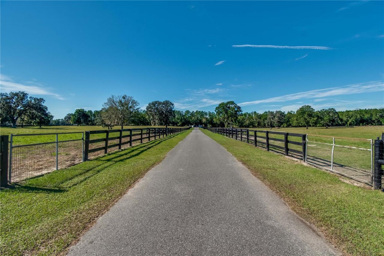 7787 NW 150th Avenue, Morriston, FL 32668 Photo