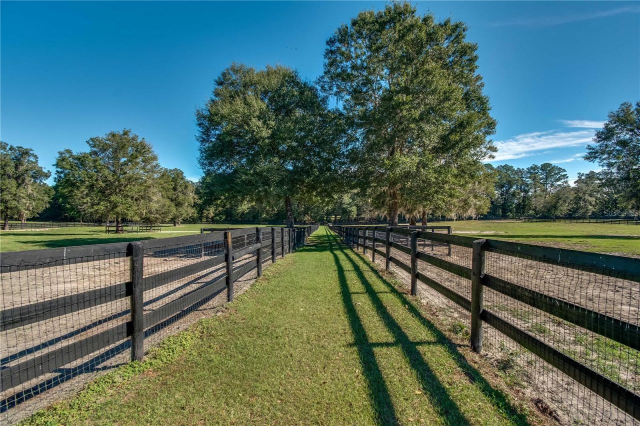 7787 NW 150th Avenue, Morriston, FL 32668 Photo