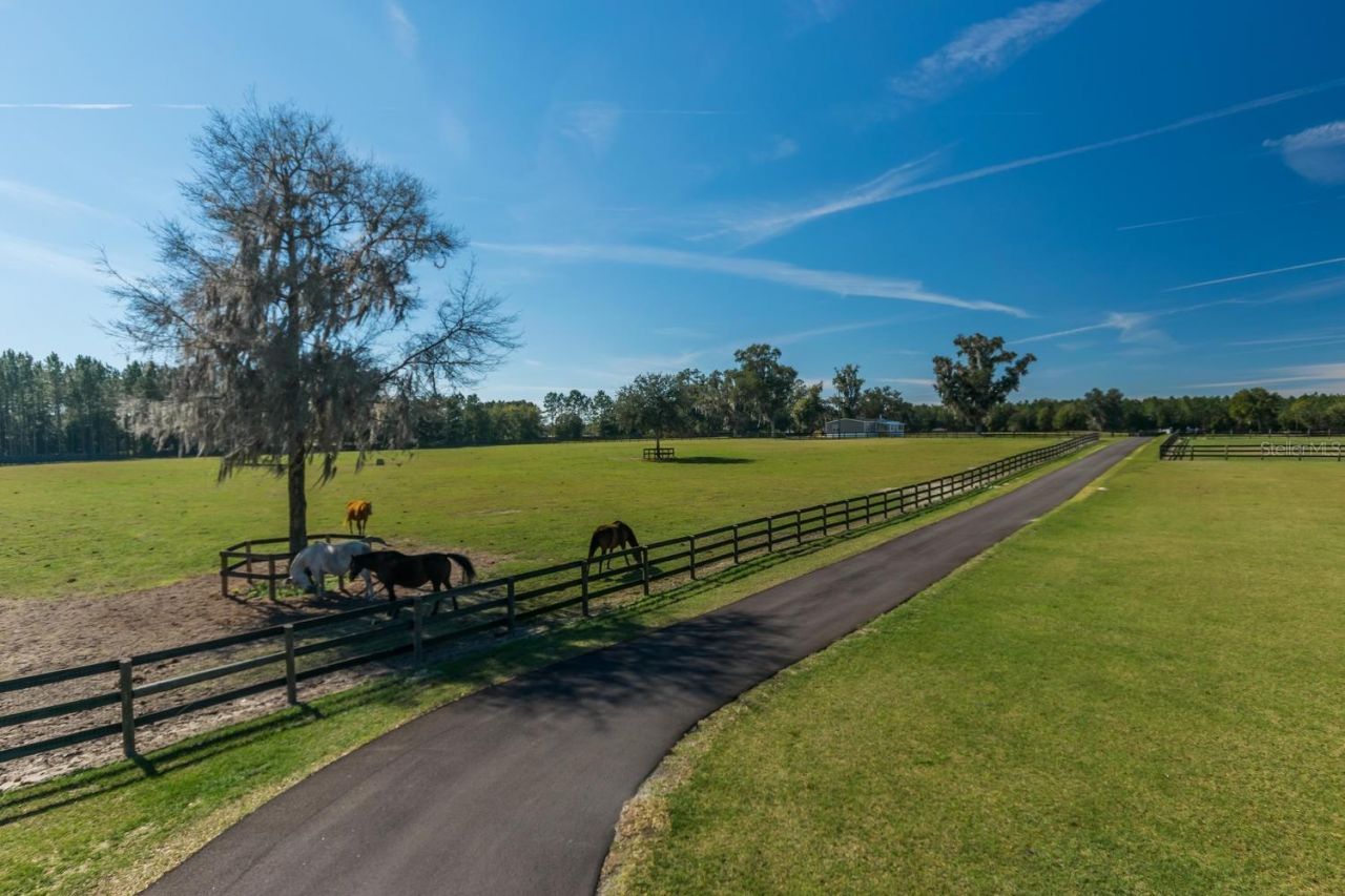 7787 NW 150th Avenue, Morriston, FL 32668 Photo