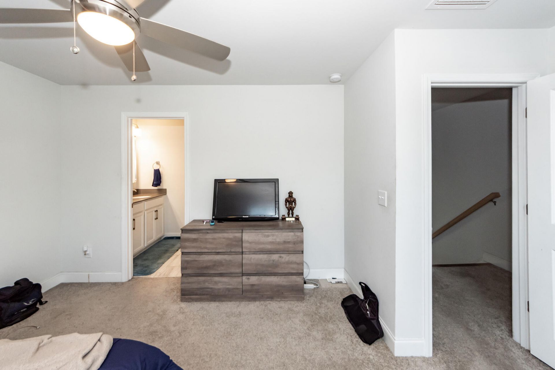 513 Green Fern Drive Photo 16