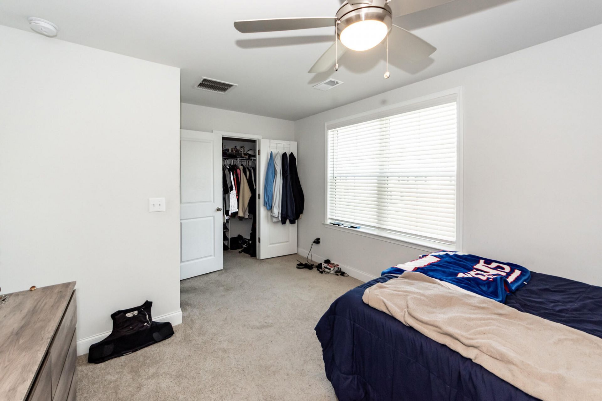 513 Green Fern Drive Photo 19