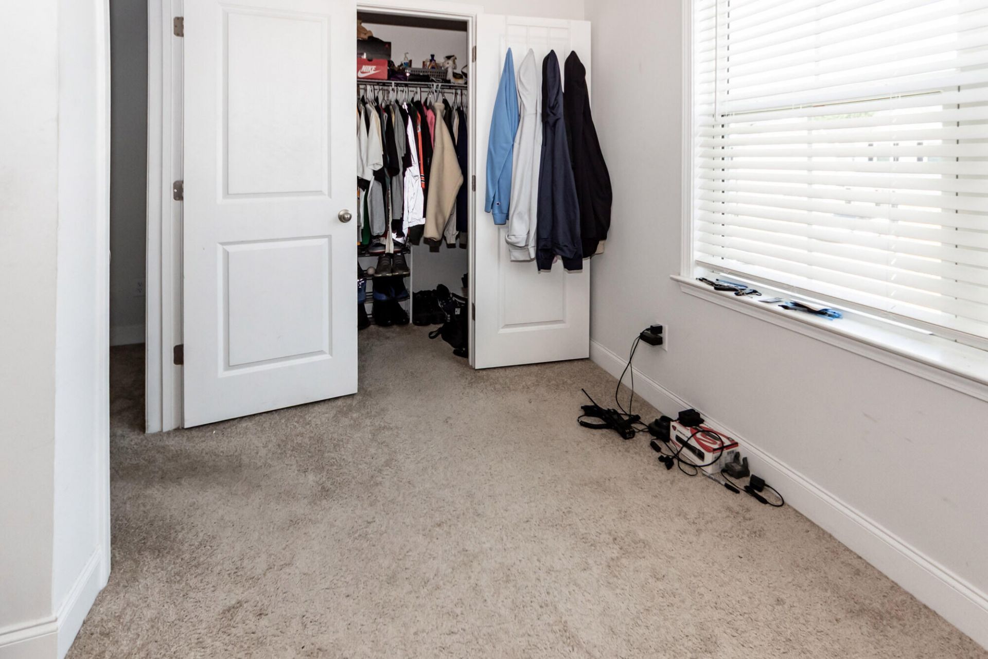 513 Green Fern Drive Photo 22