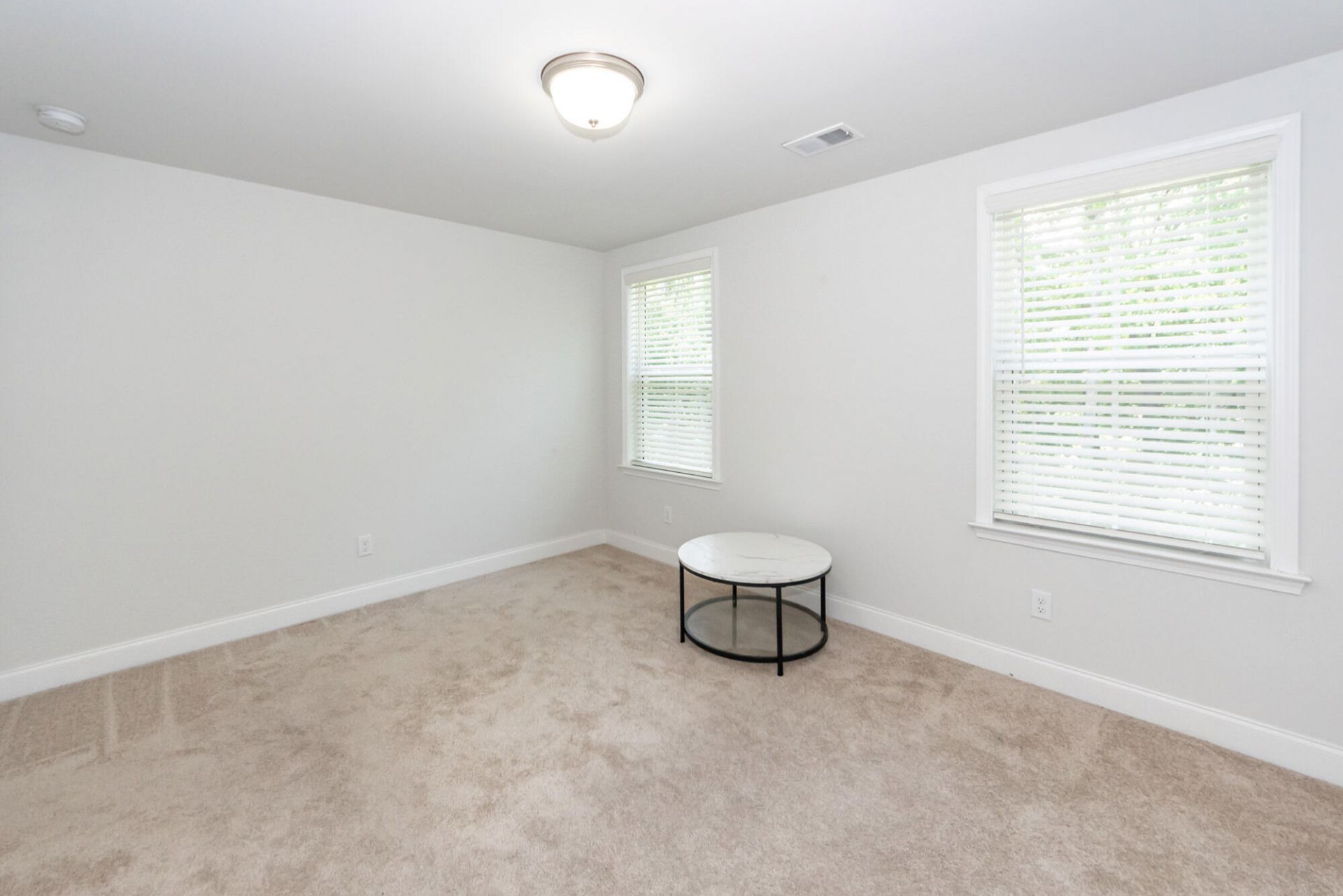 513 Green Fern Drive Photo 25