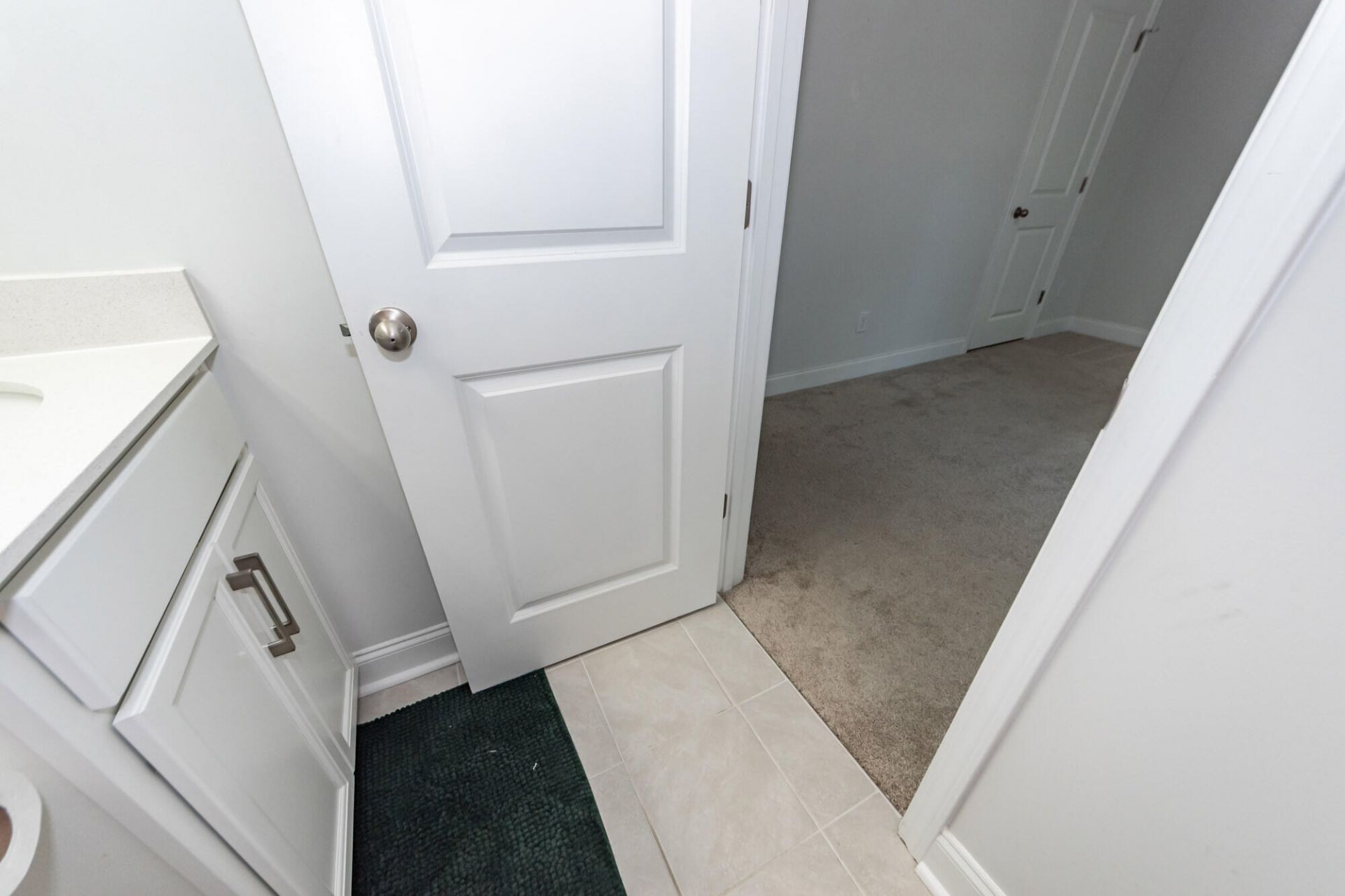 513 Green Fern Drive Photo 31