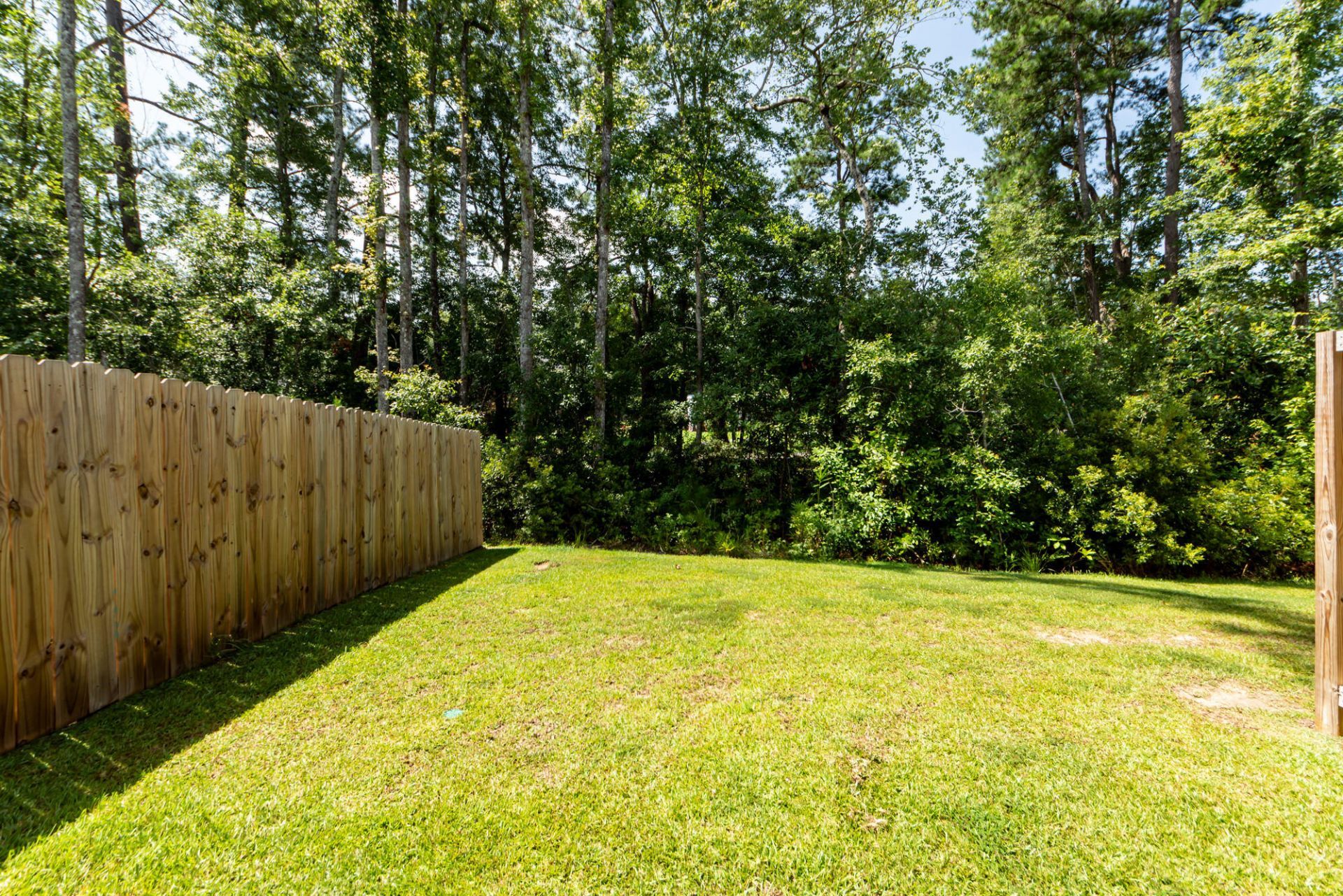 513 Green Fern Drive Photo 33