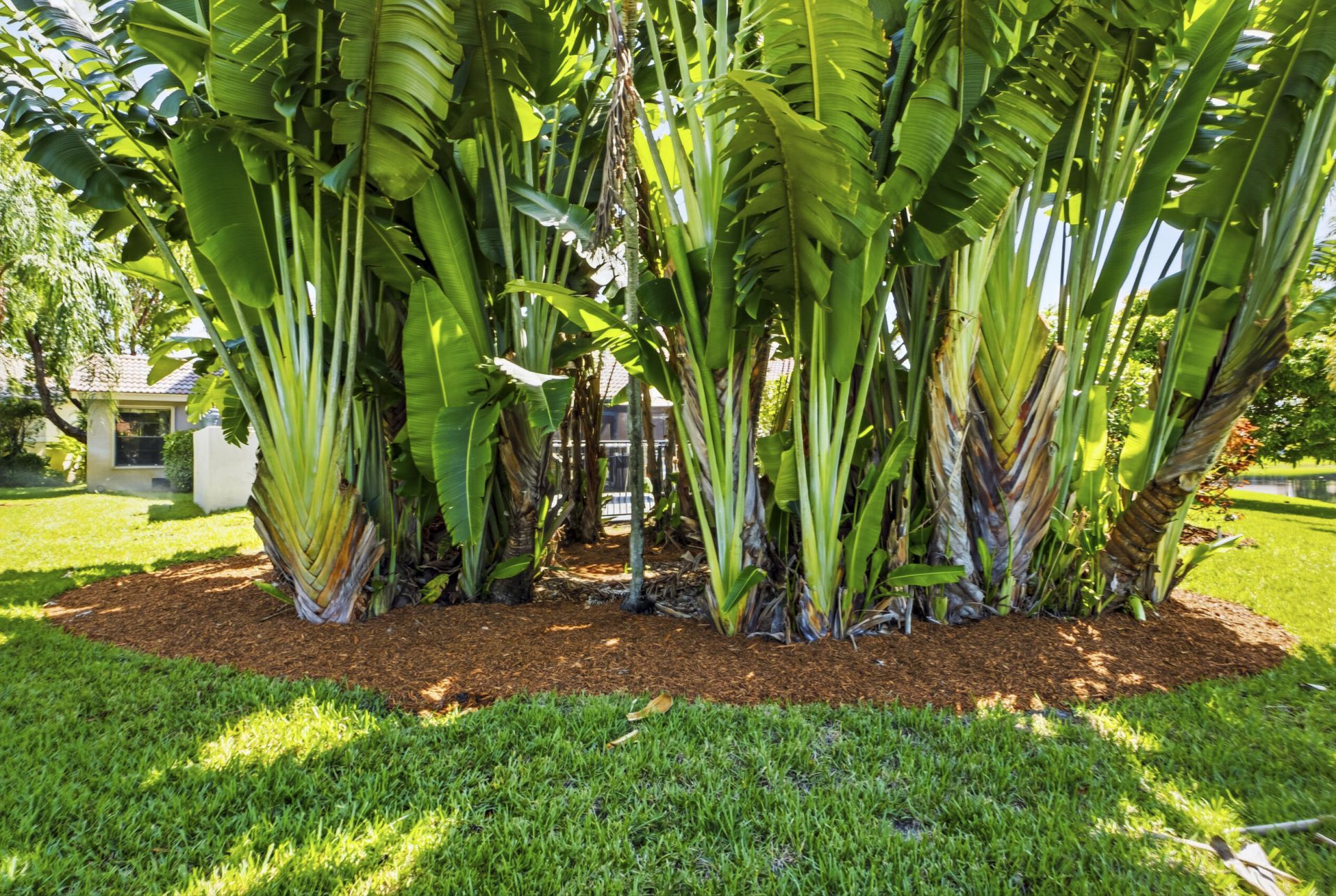 12020 NW 2nd Drive, Coral Springs, FL 33071 Photo
