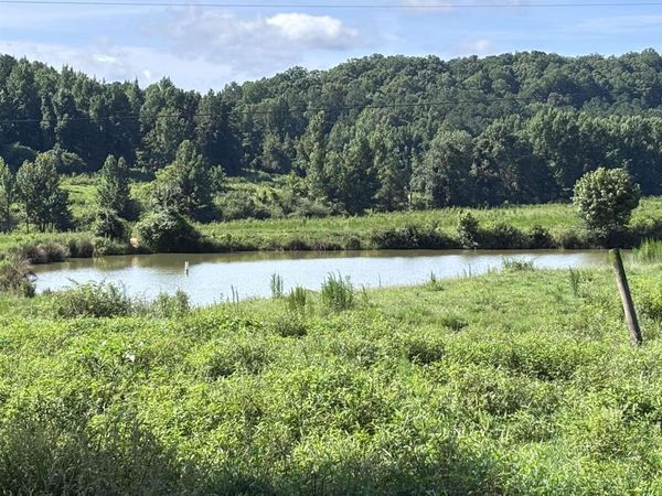 97 acres County Road 611, Valley Head, AL 35989