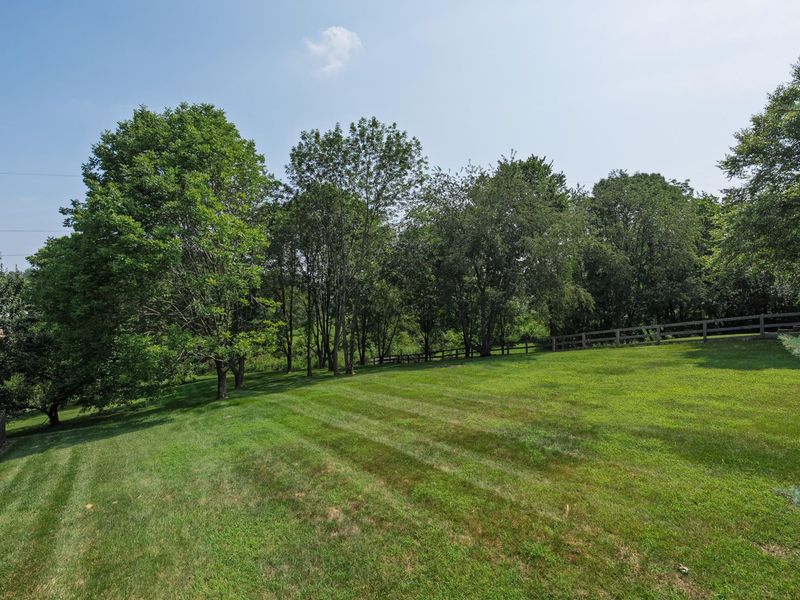 11518 Fringe Tree Drive, Walton, KY 41094 Photo 3