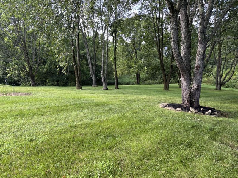 11518 Fringe Tree Drive, Walton, KY 41094 Photo 4