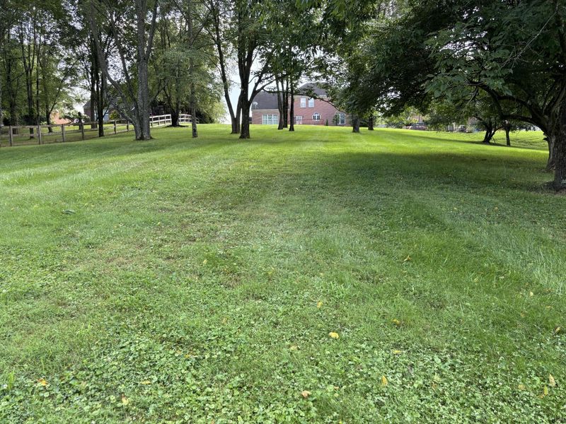 11518 Fringe Tree Drive, Walton, KY 41094 Photo 5