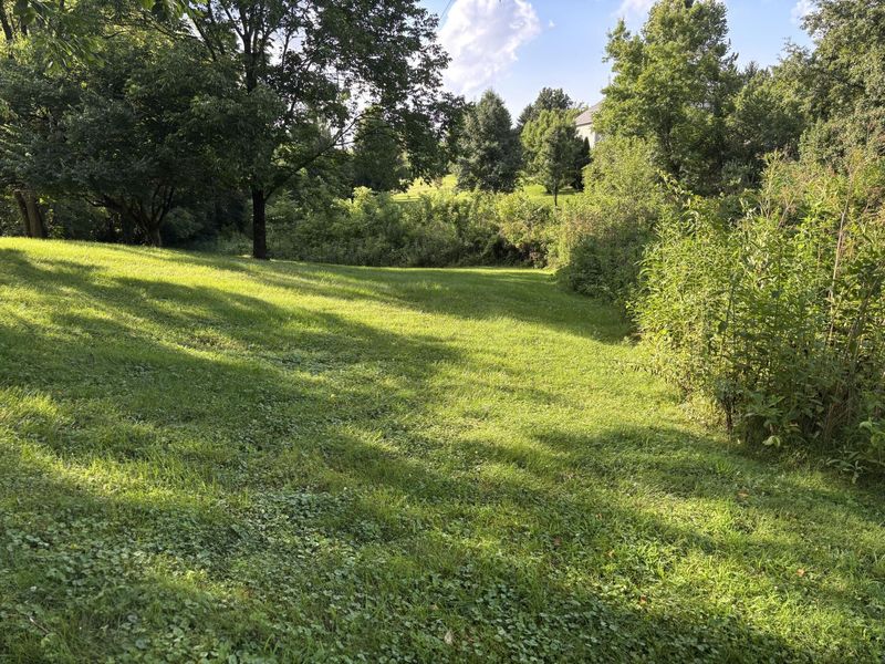 11518 Fringe Tree Drive, Walton, KY 41094 Photo 7