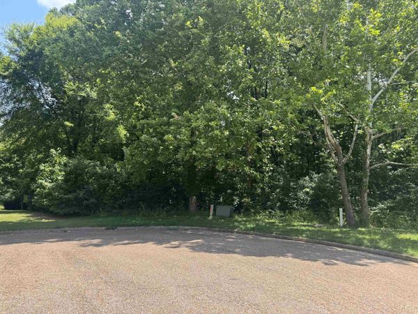 422 SCOTTSCRAIG CV, Bartlett, TN 38135