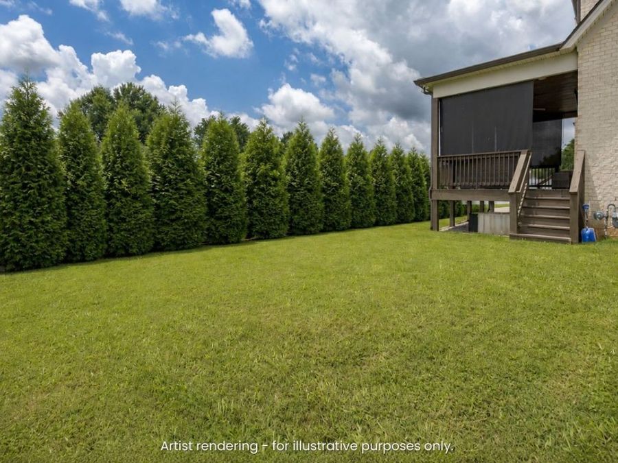 Property Image 56