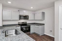 480 Wisteria Walk Way  photo 4
