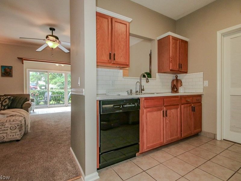 9683 Sylvan Lane, Mentor, OH 44060 Photo 15