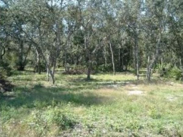 413 NE 808TH STREET , OLD TOWN, FL 32680