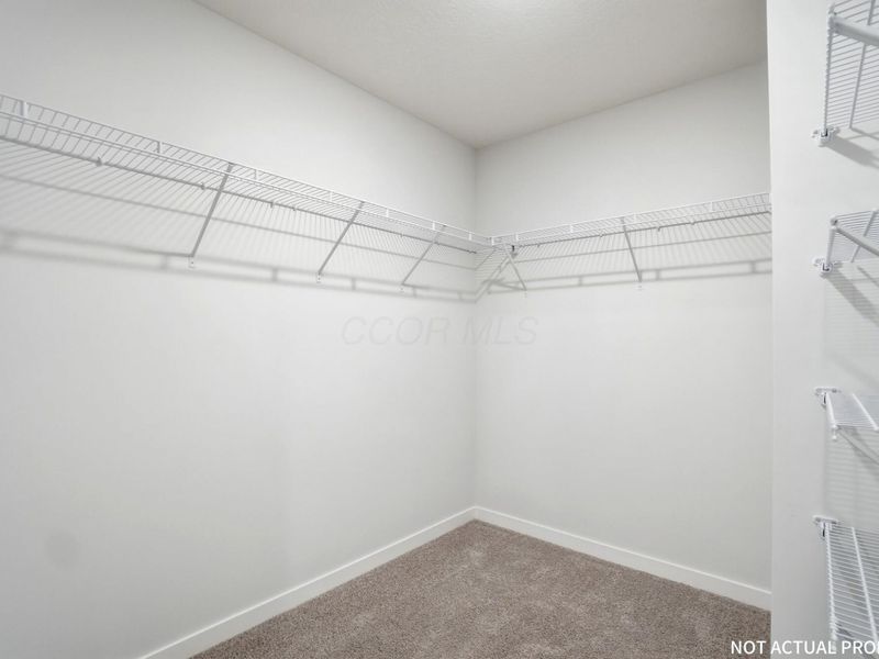 5873 Scarlet Birch Drive, Canal Winchester, OH 43110 Photo 27