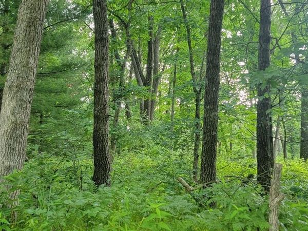 2978 6TH AVENUE, Grand Marsh, WI 53936