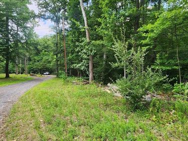 Lot 202 & 203 BOBBIE COURT , FRONT ROYAL, VA 22630