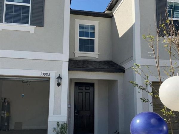 10805 FANNING SPRINGS COURT , TAMPA, FL 33647