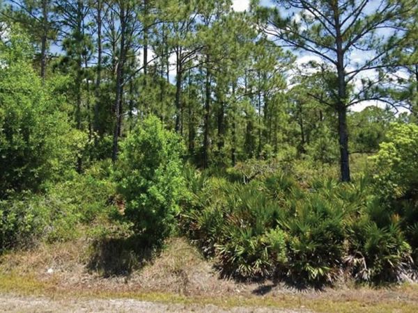 648 PERSHING AVENUE , LAKE PLACID, FL 33852