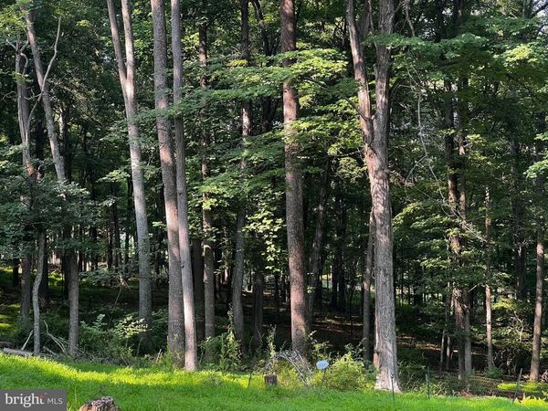 336 HOWARD DELAWDER LANE, MATHIAS, WV 26812