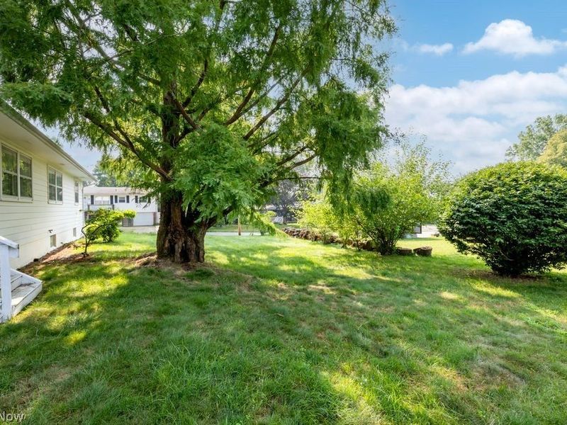 1012 Ashwood Drive, Wooster, OH 44691 Photo 35