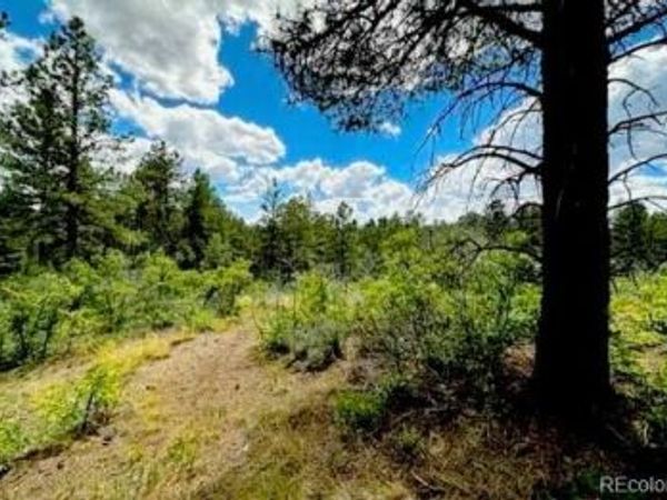 550 Deer Trail , Pagosa Springs, CO 81147
