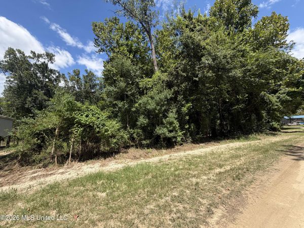 Plum Bluff Drive, Lucedale, MS 39452