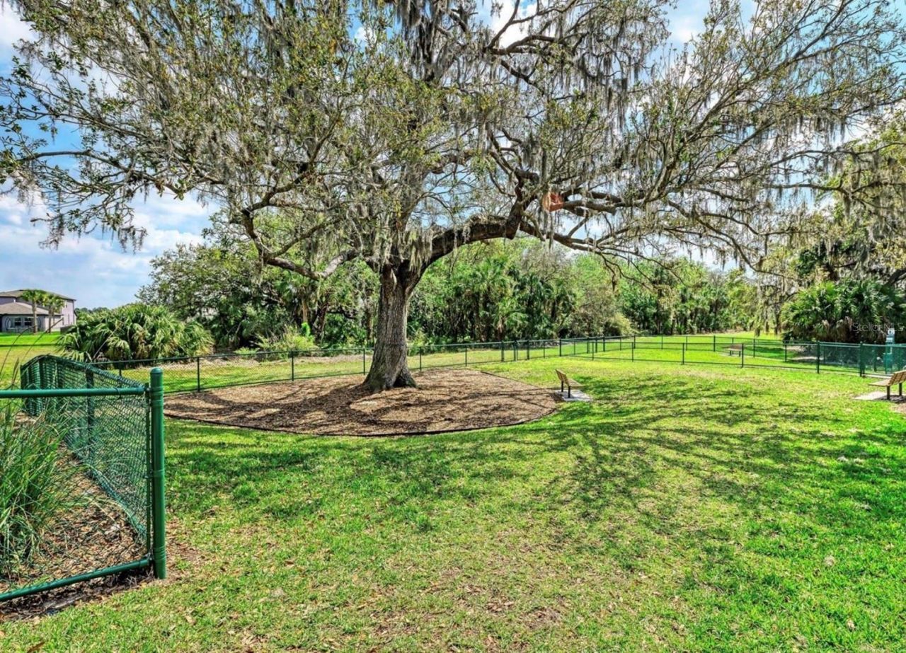 10119 Daybreak Glen, Parrish, FL 34219 Photo