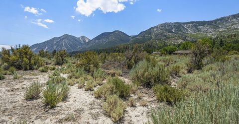 1151 Cary Creek Court, Gardnerville, NV 89460 Photo