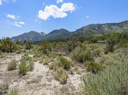 1151 Cary Creek Court, Gardnerville, NV 89460 Photo