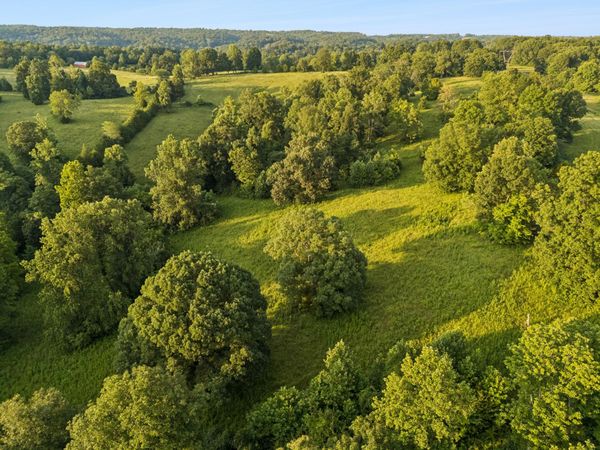 7 Shiloh Canaan Road , Palmyra, TN 37142