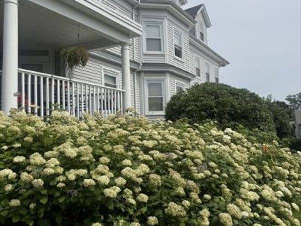 9 Evans, Unit 3, Marblehead, MA 01945