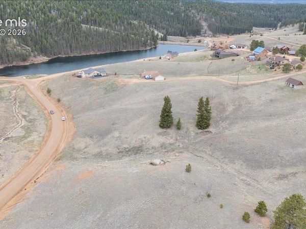 175 Twin Lakes Drive, Divide, CO 80814