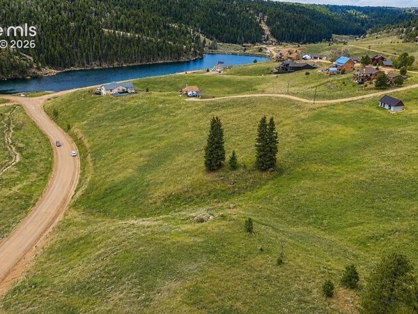 175 Twin Lakes Drive, Divide, CO 80814