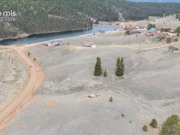 175 Twin Lakes Drive, Divide, CO 80814
